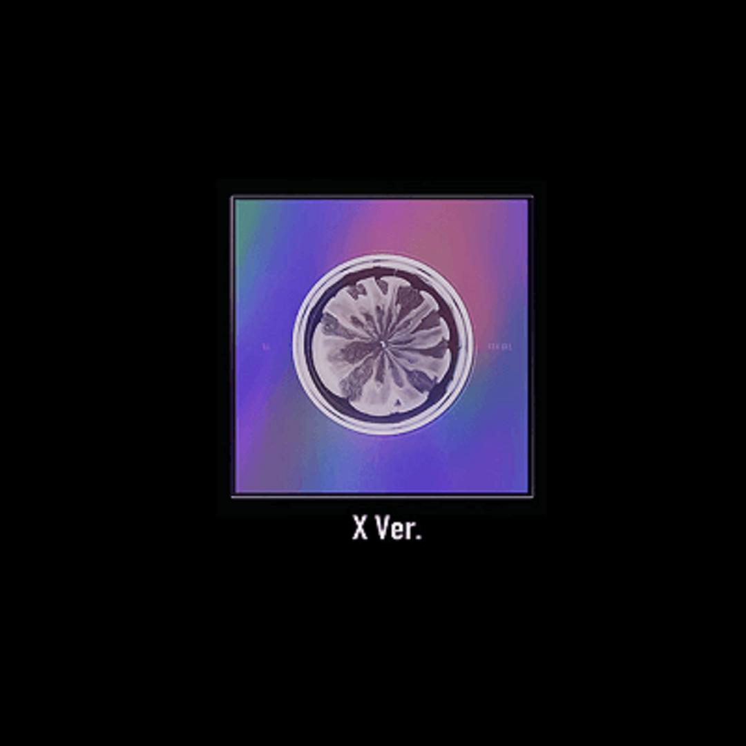 XG - [NEW DNA] 1st Mini ALBUM - First Press/ Limited Edition